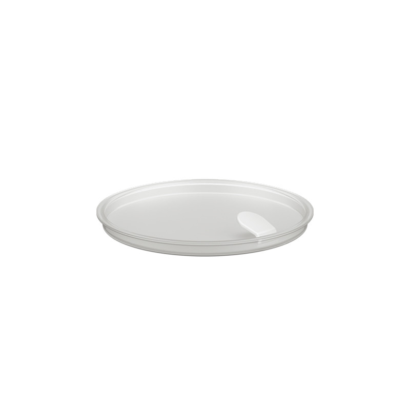 Piattina